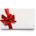 $100 Gift Certificate